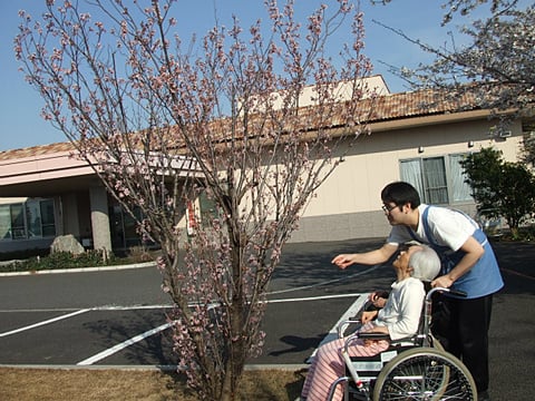 施設の庭で御花見１